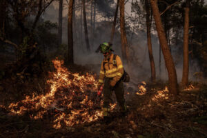 Incendi in Europa 2026: area bruciata quasi doppia rispetto alla media